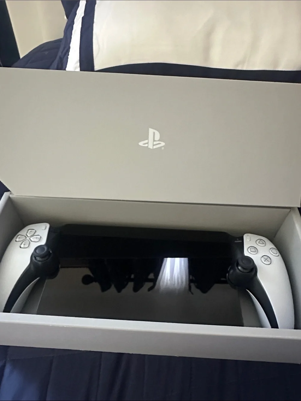 Sony DualSense White Controllers with Black Tablet/Screen